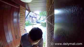 Moment Evri delivery driver STANDS on parcel to make it fit through letter box