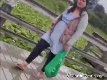 Police ticket Abbotsford woman at centre of viral littering scandal