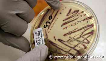 Alfalfa sprouts linked to food poisoning illnesses in Minnesota and Wisconsin