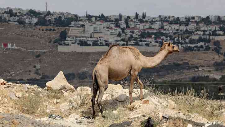 Nederland veroordeelt Israël om biedingen op omstreden bouwproject Westoever