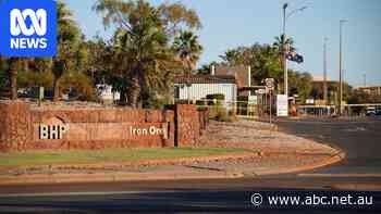 Union row with BHP deepens after officials kicked off Port Hedland site