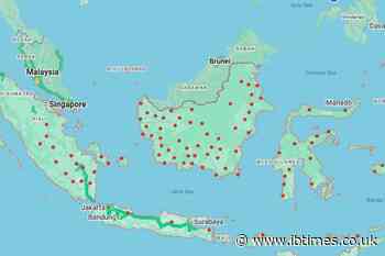 'A Vital Lung of the Earth': Indonesians Beg World for Wildfire Help While Orangutans Flee the Flames