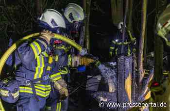 FW-MK: Feuer in einem Waldstück am Duloh