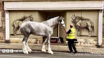 Artist paints mural of Sam Smith's Brewery horses