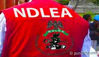 NDLEA opposes bail for 10 in N480bn Ogun meth lab