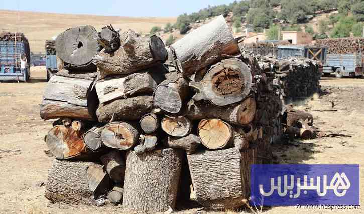 أسعار حطب التدفئة تصعد مبكراً.. ومخاوف من شتاء قاسٍ على الأسر