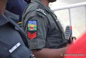 Niger police arrest four over mob killing