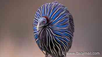 Captivating! The best pics of nature - as taken in British zoos, aquariums and reserves
