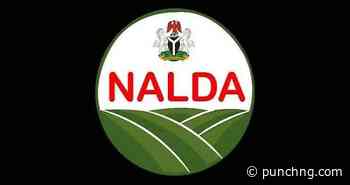 FG launches Kwara agro-forestry campaign for expansion