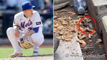 Disgusted Mets fans capture vile moment raccoon living under Citi Field stands helps itself to peanuts
