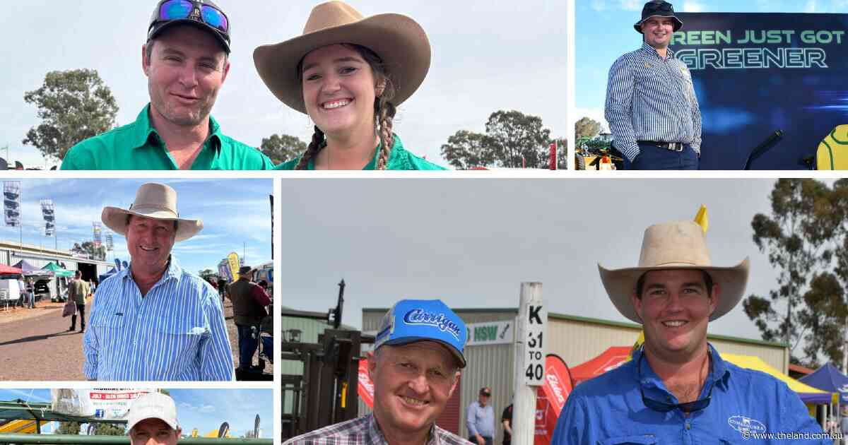'You have to draw a line': farmers share their budget pains and adaptations