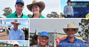 'You have to draw a line': farmers share their budget pains and adaptations