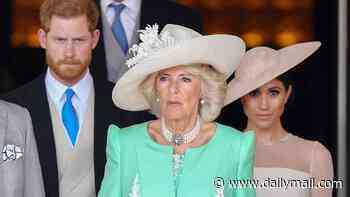 As Camilla's biographer, I fear this could be the test of her lifetime: ANGELA LEVIN