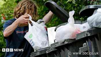 New recycling food caddies a 'magnet for maggots'