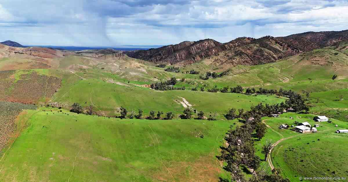SA farm agencies prepare for a flurry of spring property auctions