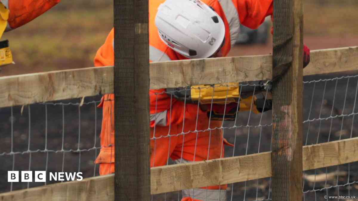 Why is the wildfire-affected A31 still closed and when will it reopen?