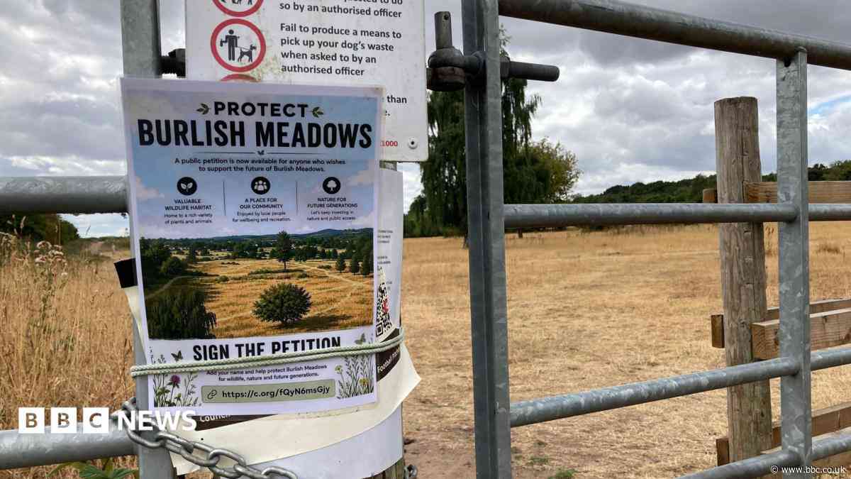 Meadows get protection to buy time after sale bid