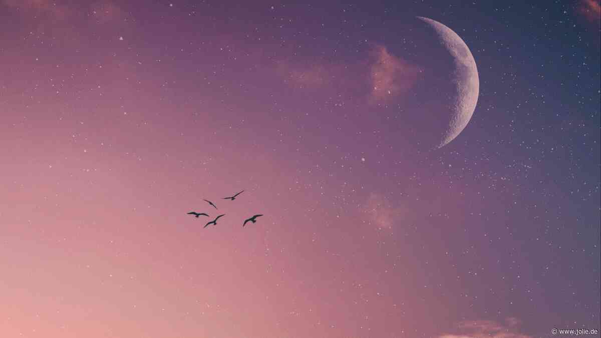 Horoskop heute: Dein Tageshoroskop am 21. August 2026