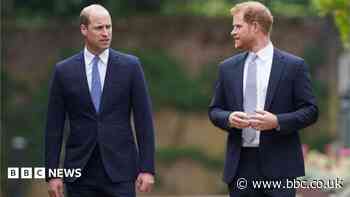 Will Harry's return heal rift with his brother? Don't hold your breath