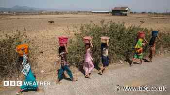 El Niño weather system set to be 'strongest in living memory', warns Met Office