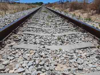 Portugal's competition watchdog calls for more rail operators