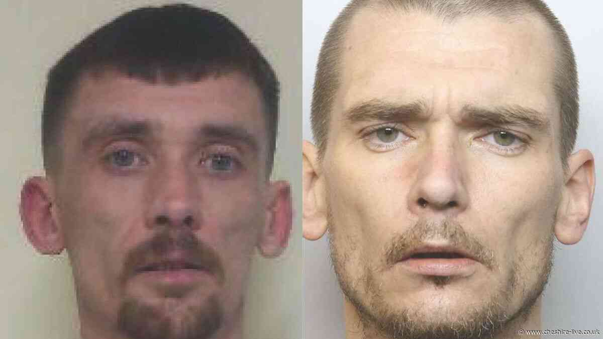 The brothers who stole £62k worth of Pokémon cards in Cheshire shop raid