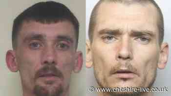 The brothers who stole £62k worth of Pokémon cards in Cheshire shop raid