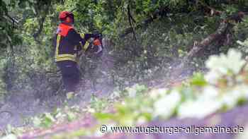 Unwetter über Ingolstadt: Feuerwehr muss Bäume aus dem Weg räumen