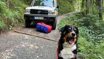Ausgebüxter Hund macht alleine Bergtour – bei seiner Rettung wird es kurios