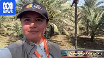 Israel open to compensating Zomi Frankcom's family, ambassador says
