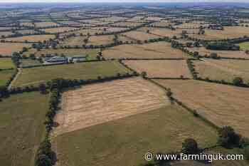 Weekly drought meetings begin as farmers face mounting strain