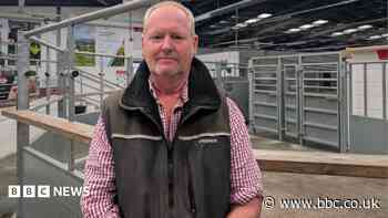 Farmer has vaccinated 1,700 sheep for bluetongue