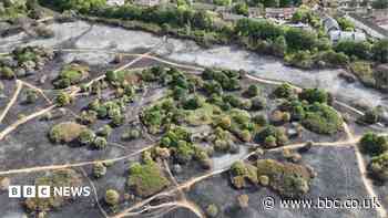 Country park wildfire damage still being assessed