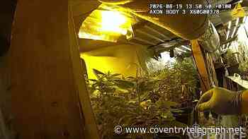 £500k underground cannabis farm near Coventry 'like something from a Guy Ritchie film'