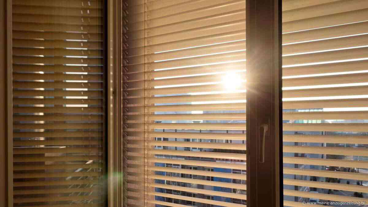 So halten Jalousien die Sommerhitze wirklich draußen
