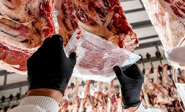 Carne vacuna: el plan es sumar trazabilidad (para capturar nichos de alto precio)