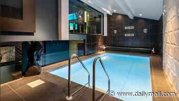 The perfect home for animal lovers? Unique Yorkshire pad has horse paddock and heated dog kennel