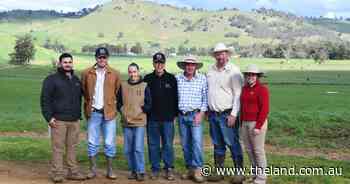 Network sons highly sought after in full clearance at KO Angus bull sale