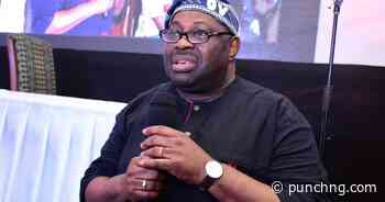 I’ll swim Atlantic for Tinubu if he practises what we fought for — Momodu