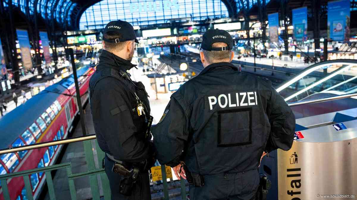 Hamburger Bahnhöfe: Polizei schnappt zwei Diebe – Reisende verhindern Flucht