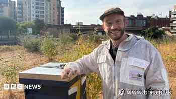 Urban beekeeper creating a buzz around city centre