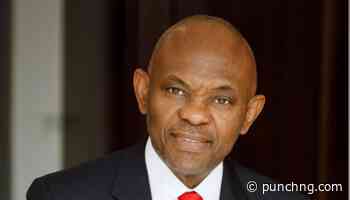Call me TOE or Mr Elumelu: Viral video sparks debate over workplace first-name culture