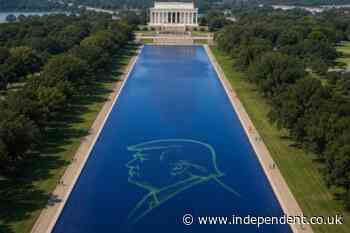 Trump puts his face on Reflecting Pool water in algae green during latest posting spree