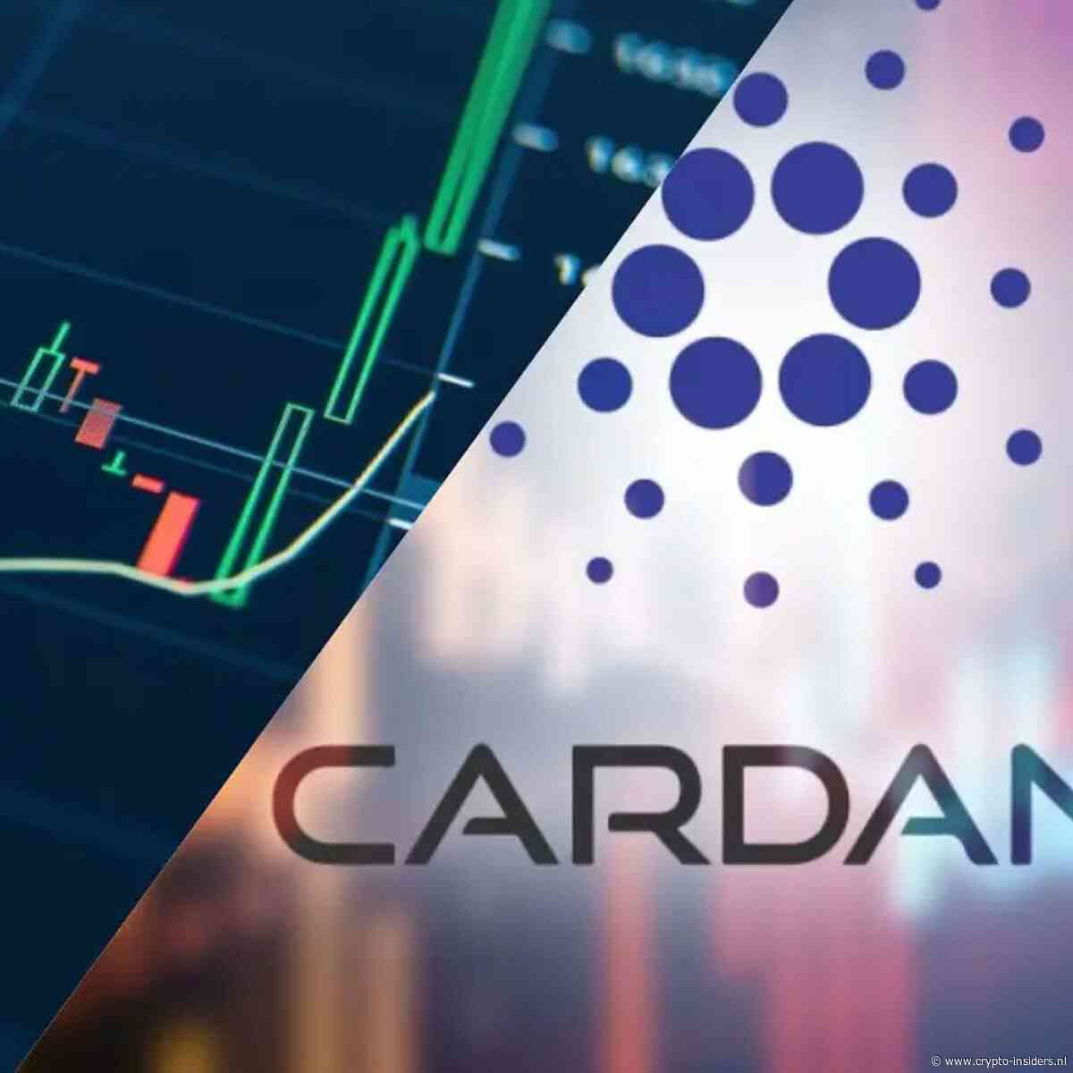 Cardano schiet 23% omhoog naar hoogste koers in maanden