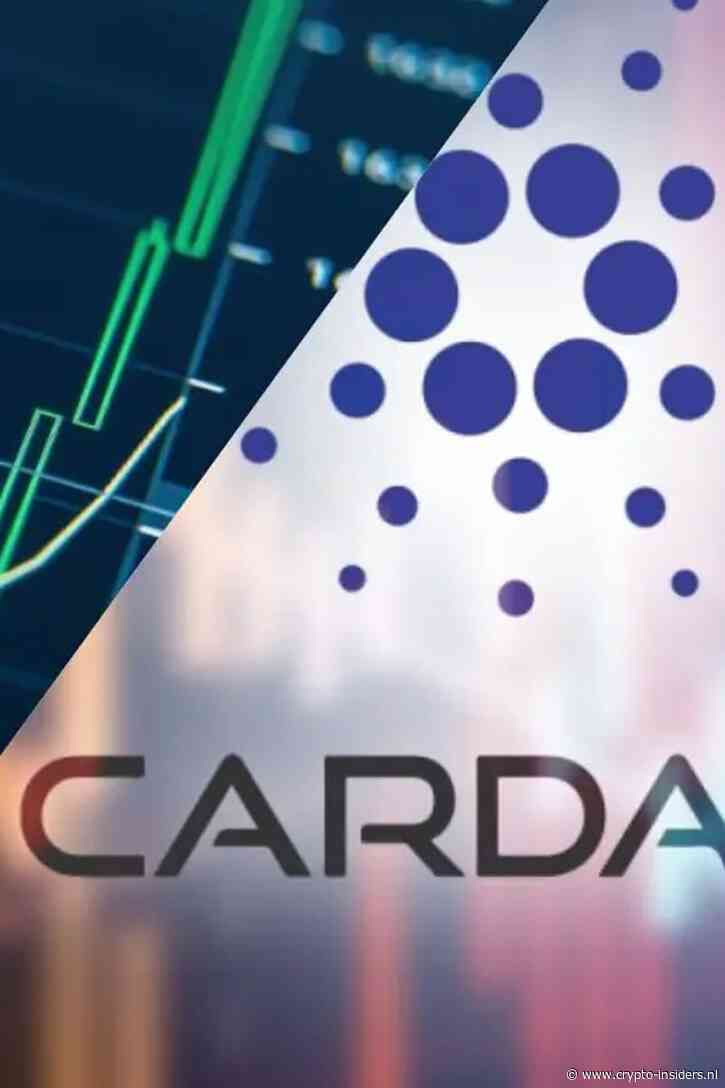 Cardano schiet 23% omhoog naar hoogste koers in maanden