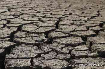 'Strongest in Living Memory': Why Scientists Fear the Next El Niño Could Rewrite Weather Records