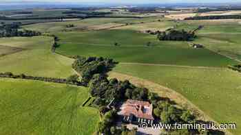 Scotland's organic farmland jumps 28% in a year