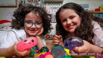 Border force asked to seize fake squishies as demand surges
