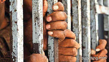 Nigerian pleads guilty to $415,874 US unemployment insurance fraud