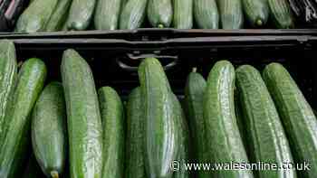 Cucumbers will taste fresh and crispy for 3 weeks if stored with 2 items